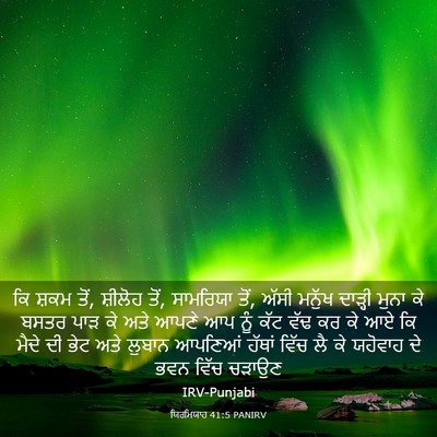 Picture 03 - ਯਿਰਮਿਯਾਹ 41:5 PANIRV - ਕਿ ਸ਼ਕਮ ਤੋਂ, ਸ਼ੀਲੋਹ - Bible Verse Picture
