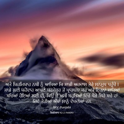 Picture 03 - ਯਿਰਮਿਯਾਹ 42:2 PANIRV - ਅਤੇ ਯਿਰਮਿਯਾਹ ਨਬੀ - Bible Verse Picture