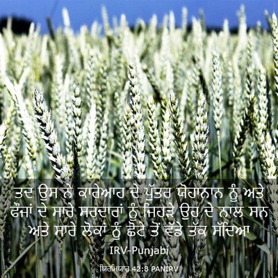 Picture 03 - ਯਿਰਮਿਯਾਹ 42:8 PANIRV - ਤਦ ਉਸ ਨੇ ਕਾਰੇਆਹ ਦੇ - Bible Verse Picture