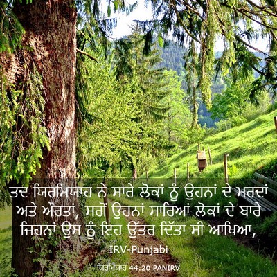 Picture 03 - ਯਿਰਮਿਯਾਹ 44:20 PANIRV - ਤਦ ਯਿਰਮਿਯਾਹ ਨੇ - Bible Verse Picture