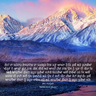 Picture 03 - ਯਿਰਮਿਯਾਹ 44:25 PANIRV - ਸੈਨਾਂ ਦਾ ਯਹੋਵਾਹ - Bible Verse Picture