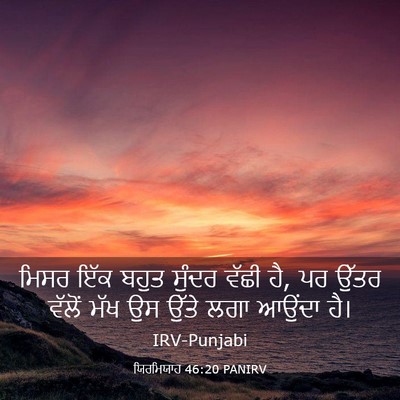 Picture 03 - ਯਿਰਮਿਯਾਹ 46:20 PANIRV - ਮਿਸਰ ਇੱਕ ਬਹੁਤ - Bible Verse Picture