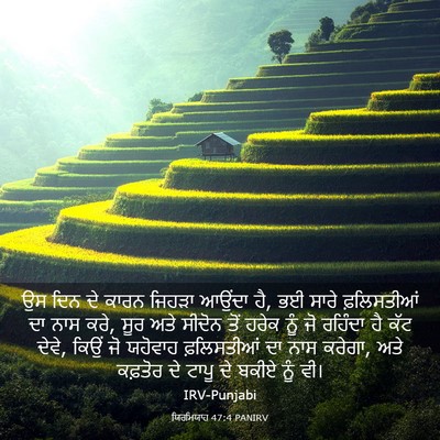 Picture 03 - ਯਿਰਮਿਯਾਹ 47:4 PANIRV - ਉਸ ਦਿਨ ਦੇ ਕਾਰਨ - Bible Verse Picture