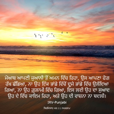 Picture 03 - ਯਿਰਮਿਯਾਹ 48:11 PANIRV - ਮੋਆਬ ਆਪਣੀ ਜੁਆਨੀ - Bible Verse Picture