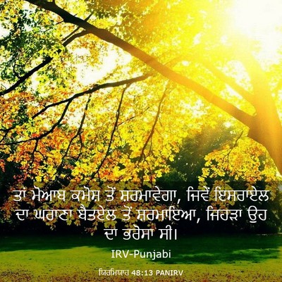 Picture 03 - ਯਿਰਮਿਯਾਹ 48:13 PANIRV - ਤਾਂ ਮੋਆਬ ਕਮੋਸ਼ ਤੋਂ - Bible Verse Picture