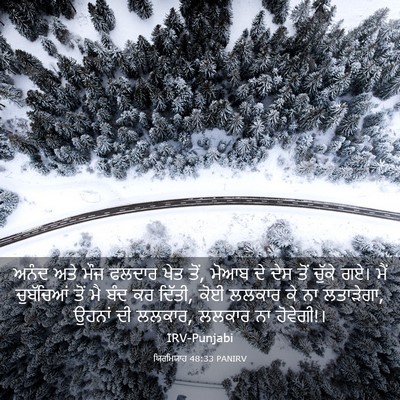 Picture 03 - ਯਿਰਮਿਯਾਹ 48:33 PANIRV - ਅਨੰਦ ਅਤੇ ਮੌਜ ਫਲਦਾਰ - Bible Verse Picture