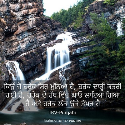 Picture 03 - ਯਿਰਮਿਯਾਹ 48:37 PANIRV - ਕਿਉਂ ਜੋ ਹਰੇਕ ਸਿਰ - Bible Verse Picture