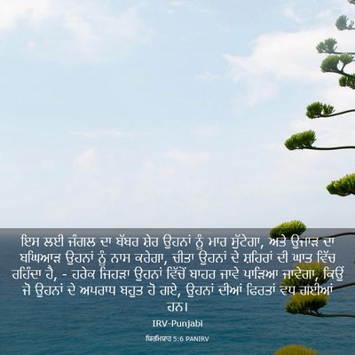 Picture 03 - ਯਿਰਮਿਯਾਹ 5:6 PANIRV - ਇਸ ਲਈ ਜੰਗਲ ਦਾ ਬੱਬਰ - Bible Verse Picture