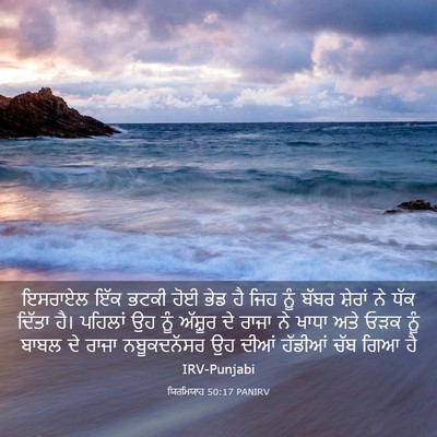 Picture 03 - ਯਿਰਮਿਯਾਹ 50:17 PANIRV - ਇਸਰਾਏਲ ਇੱਕ ਭਟਕੀ - Bible Verse Picture
