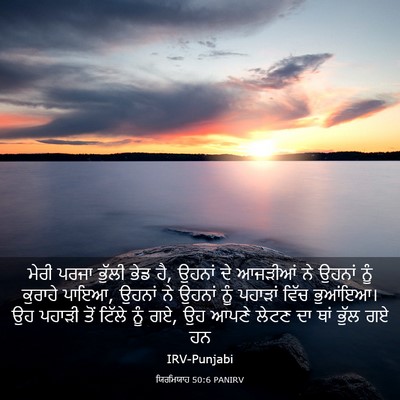 Picture 03 - ਯਿਰਮਿਯਾਹ 50:6 PANIRV - ਮੇਰੀ ਪਰਜਾ ਭੁੱਲੀ - Bible Verse Picture