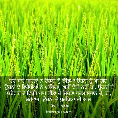 Picture 03 - ਯਿਰਮਿਯਾਹ 50:7 PANIRV - ਉਹ ਸਾਰੇ ਜਿਹਨਾਂ ਨੇ - Bible Verse Picture