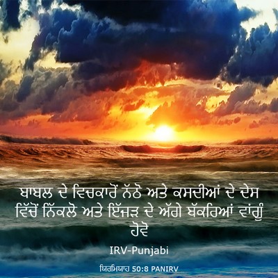 Picture 03 - ਯਿਰਮਿਯਾਹ 50:8 PANIRV - ਬਾਬਲ ਦੇ ਵਿਚਕਾਰੋਂ - Bible Verse Picture