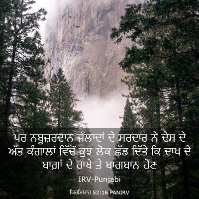 Picture 03 - ਯਿਰਮਿਯਾਹ 52:16 PANIRV - ਪਰ ਨਬੂਜ਼ਰਦਾਨ - Bible Verse Picture