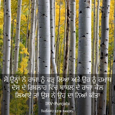 Picture 03 - ਯਿਰਮਿਯਾਹ 52:9 PANIRV - ਸੋ ਉਨ੍ਹਾਂ ਨੇ ਰਾਜਾ - Bible Verse Picture