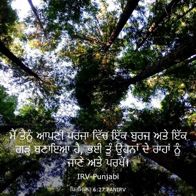 Picture 03 - ਯਿਰਮਿਯਾਹ 6:27 PANIRV - ਮੈਂ ਤੈਨੂੰ ਆਪਣੀ - Bible Verse Picture