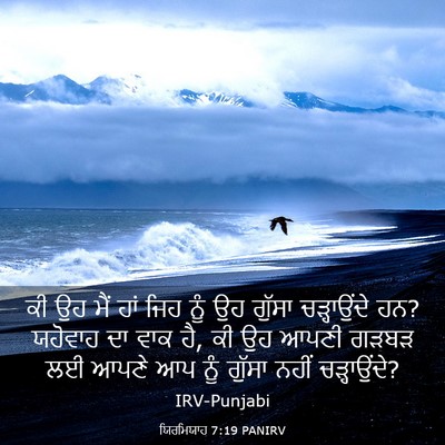 Picture 03 - ਯਿਰਮਿਯਾਹ 7:19 PANIRV - ਕੀ ਉਹ ਮੈਂ ਹਾਂ ਜਿਹ - Bible Verse Picture
