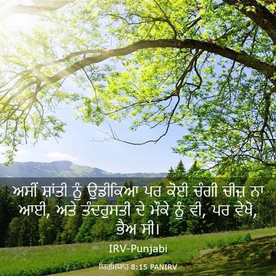 Picture 03 - ਯਿਰਮਿਯਾਹ 8:15 PANIRV - ਅਸੀਂ ਸ਼ਾਂਤੀ ਨੂੰ - Bible Verse Picture