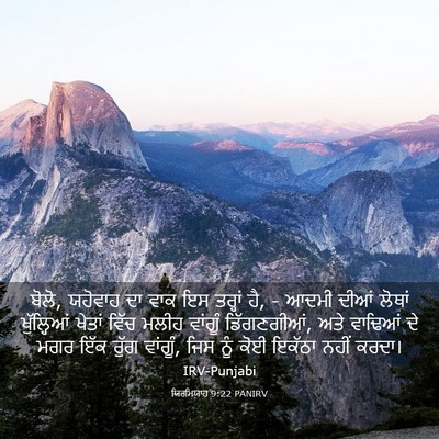 Picture 03 - ਯਿਰਮਿਯਾਹ 9:22 PANIRV - ਬੋਲੋ, ਯਹੋਵਾਹ ਦਾ ਵਾਕ - Bible Verse Picture