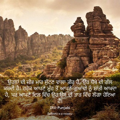 Picture 03 - ਯਿਰਮਿਯਾਹ 9:8 PANIRV - ਉਹਨਾਂ ਦੀ ਜੀਭ ਮਾਰ - Bible Verse Picture