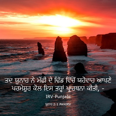 Picture 03 - ਯੂਨਾਹ 2:1 PANIRV - ਤਦ ਯੂਨਾਹ ਨੇ ਮੱਛੀ ਦੇ - Bible Verse Picture