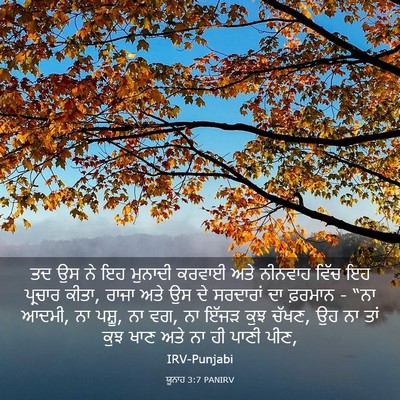 Picture 03 - ਯੂਨਾਹ 3:7 PANIRV - ਤਦ ਉਸ ਨੇ ਇਹ ਮੁਨਾਦੀ - Bible Verse Picture