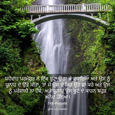 Picture 03 - ਯੂਨਾਹ 4:6 PANIRV - ਯਹੋਵਾਹ ਪਰਮੇਸ਼ੁਰ - Bible Verse Picture