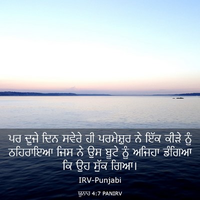 Picture 03 - ਯੂਨਾਹ 4:7 PANIRV - ਪਰ ਦੂਜੇ ਦਿਨ ਸਵੇਰੇ - Bible Verse Picture