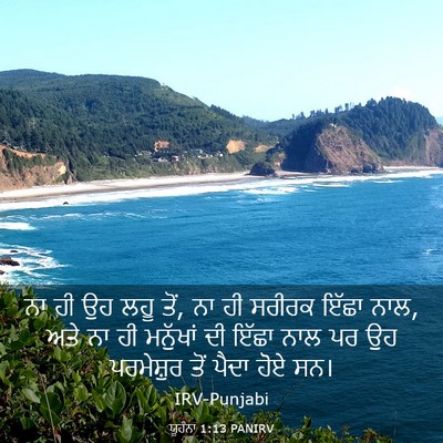 Picture 03 - ਯੂਹੰਨਾ 1:13 PANIRV - ਨਾ ਹੀ ਉਹ ਲਹੂ ਤੋਂ, ਨਾ - Bible Verse Picture