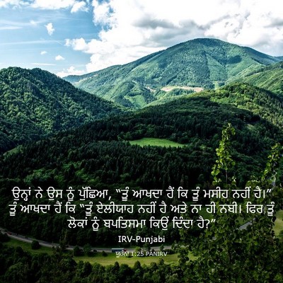 Picture 03 - ਯੂਹੰਨਾ 1:25 PANIRV - ਉਨ੍ਹਾਂ ਨੇ ਉਸ ਨੂੰ - Bible Verse Picture