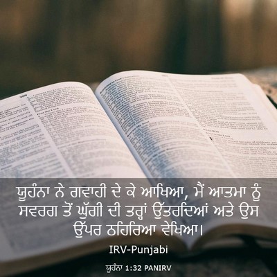 Picture 03 - ਯੂਹੰਨਾ 1:32 PANIRV - ਯੂਹੰਨਾ ਨੇ ਗਵਾਹੀ ਦੇ - Bible Verse Picture