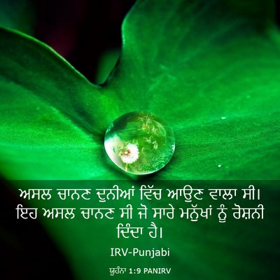 Picture 03 - ਯੂਹੰਨਾ 1:9 PANIRV - ਅਸਲ ਚਾਨਣ ਦੁਨੀਆਂ - Bible Verse Picture