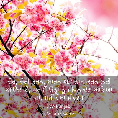 Picture 03 - ਯੂਹੰਨਾ 10:10 PANIRV - ਚੋਰ, ਚੋਰੀ ਕਰਨ, ਮਾਰਨ - Bible Verse Picture