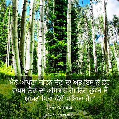 Picture 03 - ਯੂਹੰਨਾ 10:18 PANIRV - ਮੈਨੂੰ ਆਪਣਾ ਜੀਵਨ - Bible Verse Picture