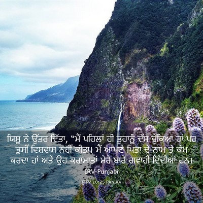 Picture 03 - ਯੂਹੰਨਾ 10:25 PANIRV - ਯਿਸੂ ਨੇ ਉੱਤਰ ਦਿੱਤਾ, - Bible Verse Picture
