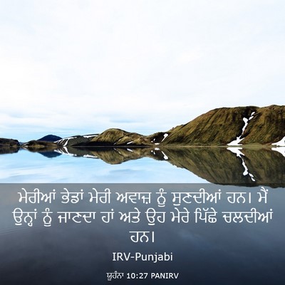 Picture 03 - ਯੂਹੰਨਾ 10:27 PANIRV - ਮੇਰੀਆਂ ਭੇਡਾਂ ਮੇਰੀ - Bible Verse Picture