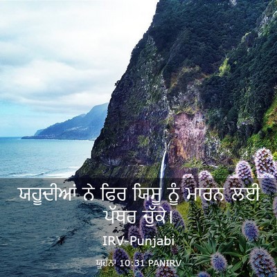 Picture 03 - ਯੂਹੰਨਾ 10:31 PANIRV - ਯਹੂਦੀਆਂ ਨੇ ਫਿਰ - Bible Verse Picture