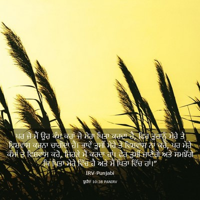 Picture 03 - ਯੂਹੰਨਾ 10:38 PANIRV - ਪਰ ਜੇ ਮੈਂ ਉਹ ਕੰਮ - Bible Verse Picture