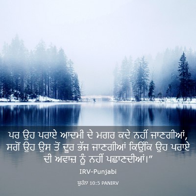 Picture 03 - ਯੂਹੰਨਾ 10:5 PANIRV - ਪਰ ਉਹ ਪਰਾਏ ਆਦਮੀ ਦੇ - Bible Verse Picture