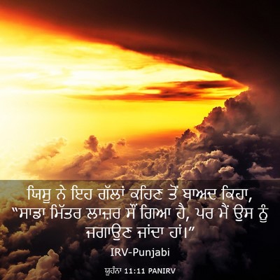 Picture 03 - ਯੂਹੰਨਾ 11:11 PANIRV - ਯਿਸੂ ਨੇ ਇਹ ਗੱਲਾਂ - Bible Verse Picture