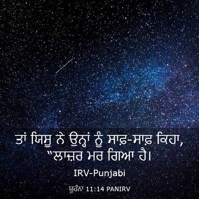 Picture 03 - ਯੂਹੰਨਾ 11:14 PANIRV - ਤਾਂ ਯਿਸੂ ਨੇ ਉਨ੍ਹਾਂ - Bible Verse Picture