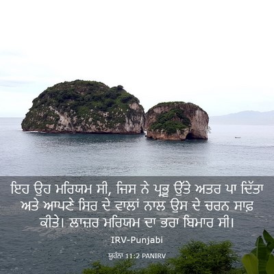Picture 03 - ਯੂਹੰਨਾ 11:2 PANIRV - ਇਹ ਉਹ ਮਰਿਯਮ ਸੀ, ਜਿਸ - Bible Verse Picture