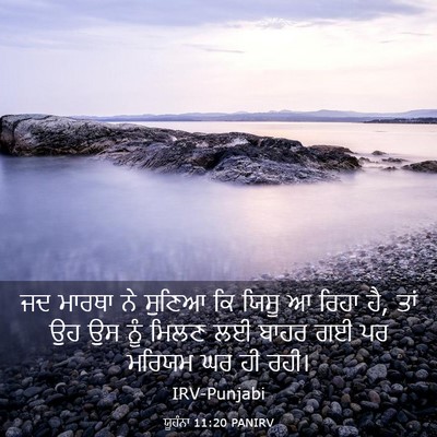 Picture 03 - ਯੂਹੰਨਾ 11:20 PANIRV - ਜਦ ਮਾਰਥਾ ਨੇ ਸੁਣਿਆ - Bible Verse Picture