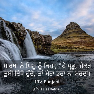Picture 03 - ਯੂਹੰਨਾ 11:21 PANIRV - ਮਾਰਥਾ ਨੇ ਯਿਸੂ ਨੂੰ - Bible Verse Picture