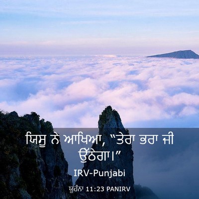 Picture 03 - ਯੂਹੰਨਾ 11:23 PANIRV - ਯਿਸੂ ਨੇ ਆਖਿਆ, “ਤੇਰਾ - Bible Verse Picture