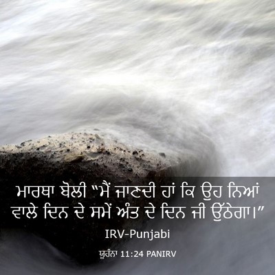 Picture 03 - ਯੂਹੰਨਾ 11:24 PANIRV - ਮਾਰਥਾ ਬੋਲੀ “ਮੈਂ - Bible Verse Picture