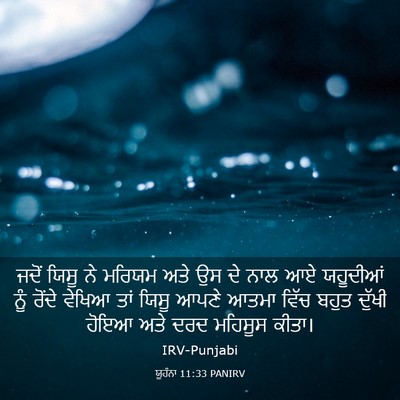 Picture 03 - ਯੂਹੰਨਾ 11:33 PANIRV - ਜਦੋਂ ਯਿਸੂ ਨੇ ਮਰਿਯਮ - Bible Verse Picture