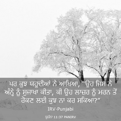 Picture 03 - ਯੂਹੰਨਾ 11:37 PANIRV - ਪਰ ਕੁਝ ਯਹੂਦੀਆਂ ਨੇ - Bible Verse Picture