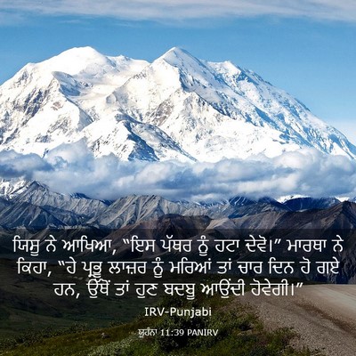 Picture 03 - ਯੂਹੰਨਾ 11:39 PANIRV - ਯਿਸੂ ਨੇ ਆਖਿਆ, “ਇਸ - Bible Verse Picture