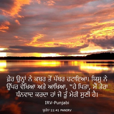 Picture 03 - ਯੂਹੰਨਾ 11:41 PANIRV - ਫ਼ੇਰ ਉਨ੍ਹਾਂ ਨੇ ਕਬਰ - Bible Verse Picture