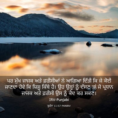 Picture 03 - ਯੂਹੰਨਾ 11:57 PANIRV - ਪਰ ਮੁੱਖ ਜਾਜਕ ਅਤੇ - Bible Verse Picture